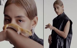 bts-v-and-lizard-join-forces-for-photoshoot-army-reactions-pour-in-layover-suga-jungkook-rm-korean-pop-culture-k-pop-boy-band